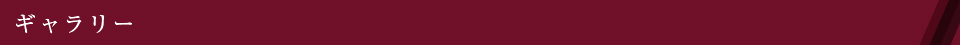 ギャラリー